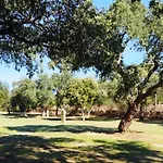 Nuraghe Ruiu Piazzole Blue Κάμπινγκ Norbello
